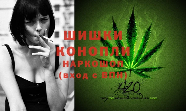 соль ск Волосово