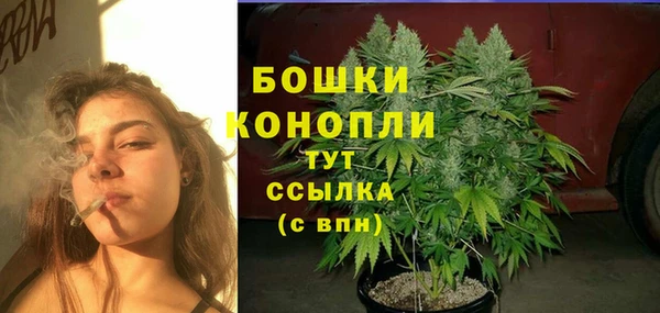 шишки Волоколамск